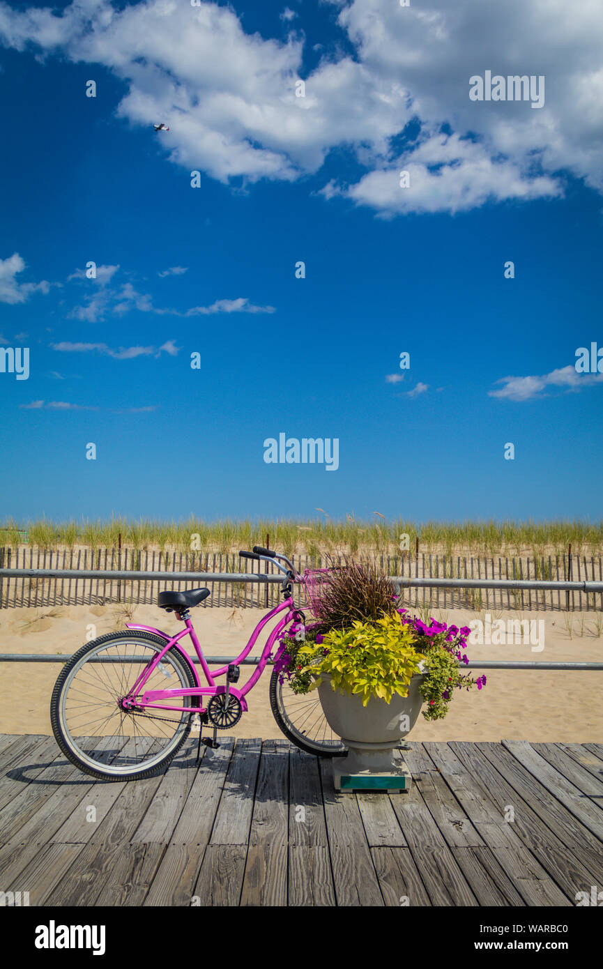 Floral arrangement on bike hires stock photography and images Alamy