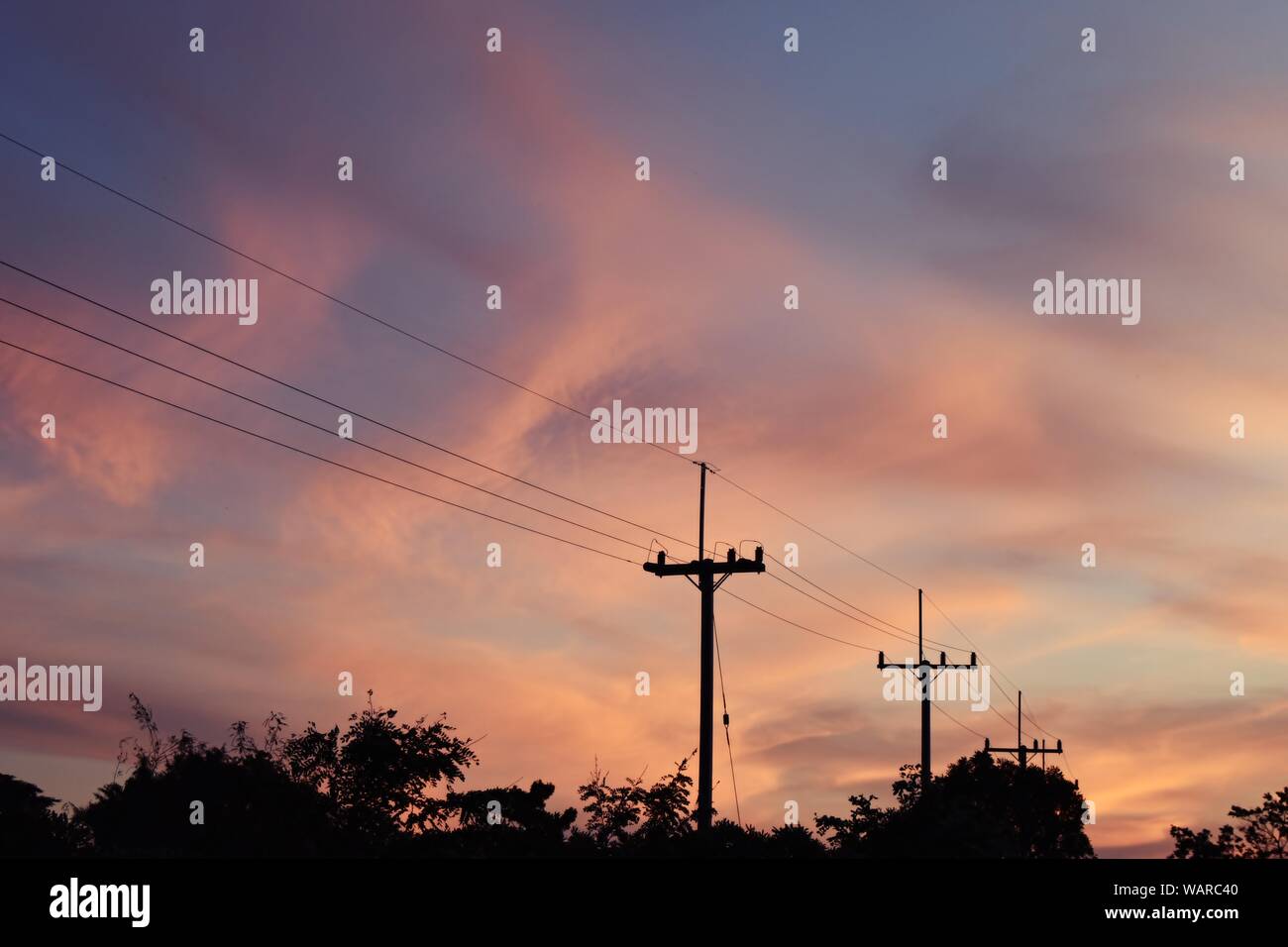 Silhouette  of electricity poles and tree at roadside with blue sky at sunset, Horizon began to turn orange with purple and pink cloud at night Stock Photo