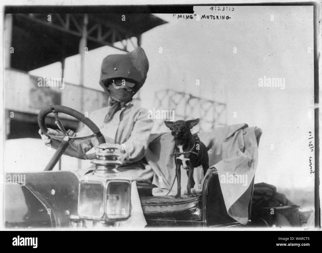 Friendly of dogs Black and White