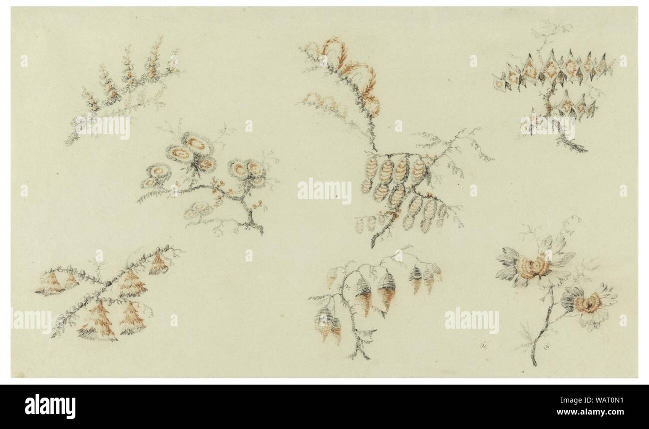 Drawing, Sprays of Seven ideal Flowers and of one quasi naturalistic flower, 1775–1800 Stock Photo