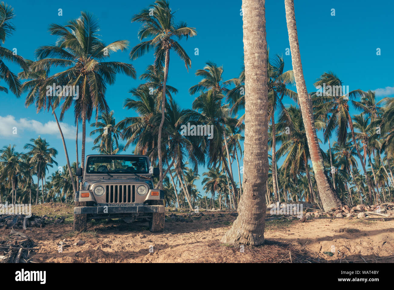 the jeep in the paradise with a background with palms Stock Photo