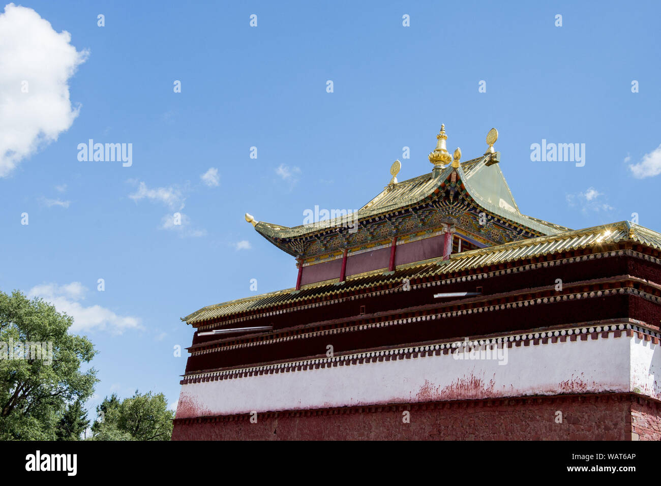 Chinesische Arsch Anbetung Prall Und Rund Chinesische Arsch Anbetung Prall Und Rund