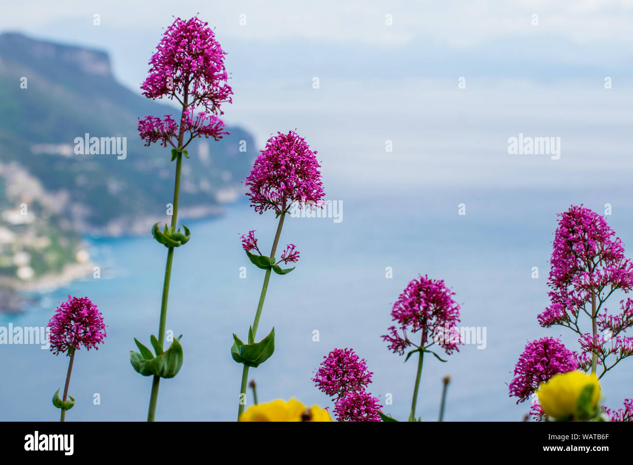 Colorful flowers in the garden of Villa Rufolo, above the sea, historic center of Ravello, Amalfi Coast of Italy Stock Photo