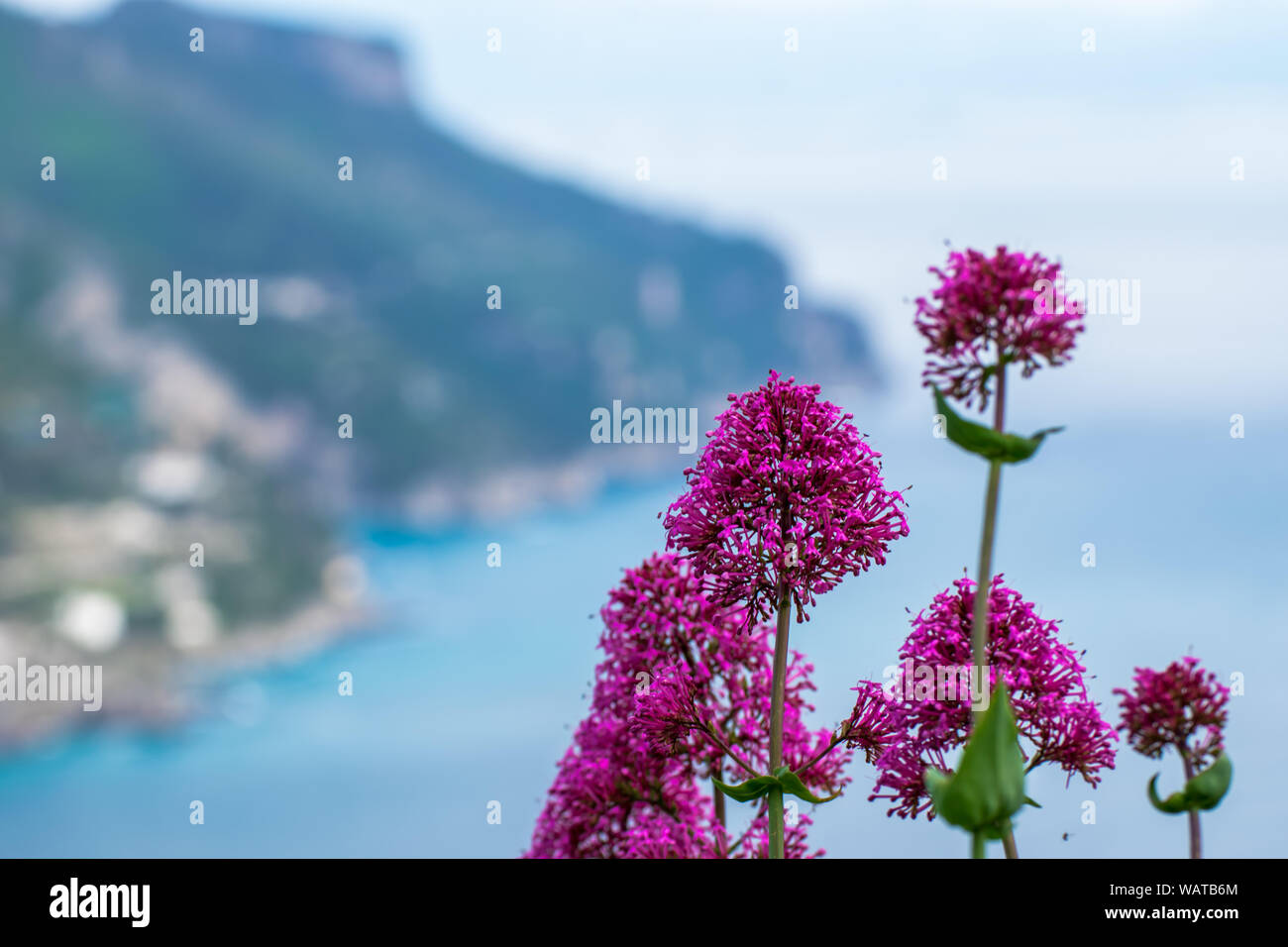 Colorful flowers in the garden of Villa Rufolo, above the sea, historic center of Ravello, Amalfi Coast of Italy Stock Photo