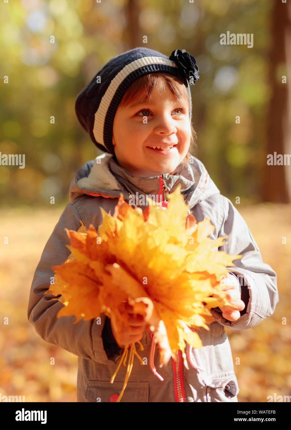 Happy little girl has fun playing with fallen maple leaves Stock Photo ...