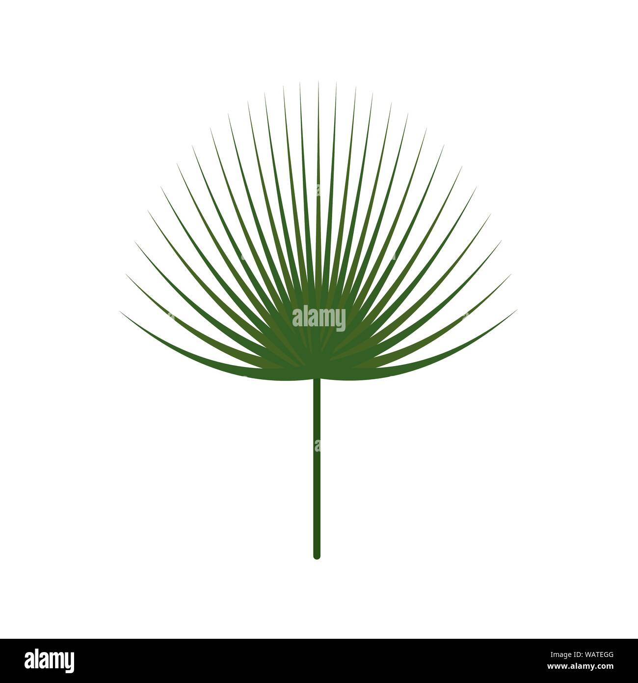 Abstract Green Leaf Stock Vector Image & Art - Alamy