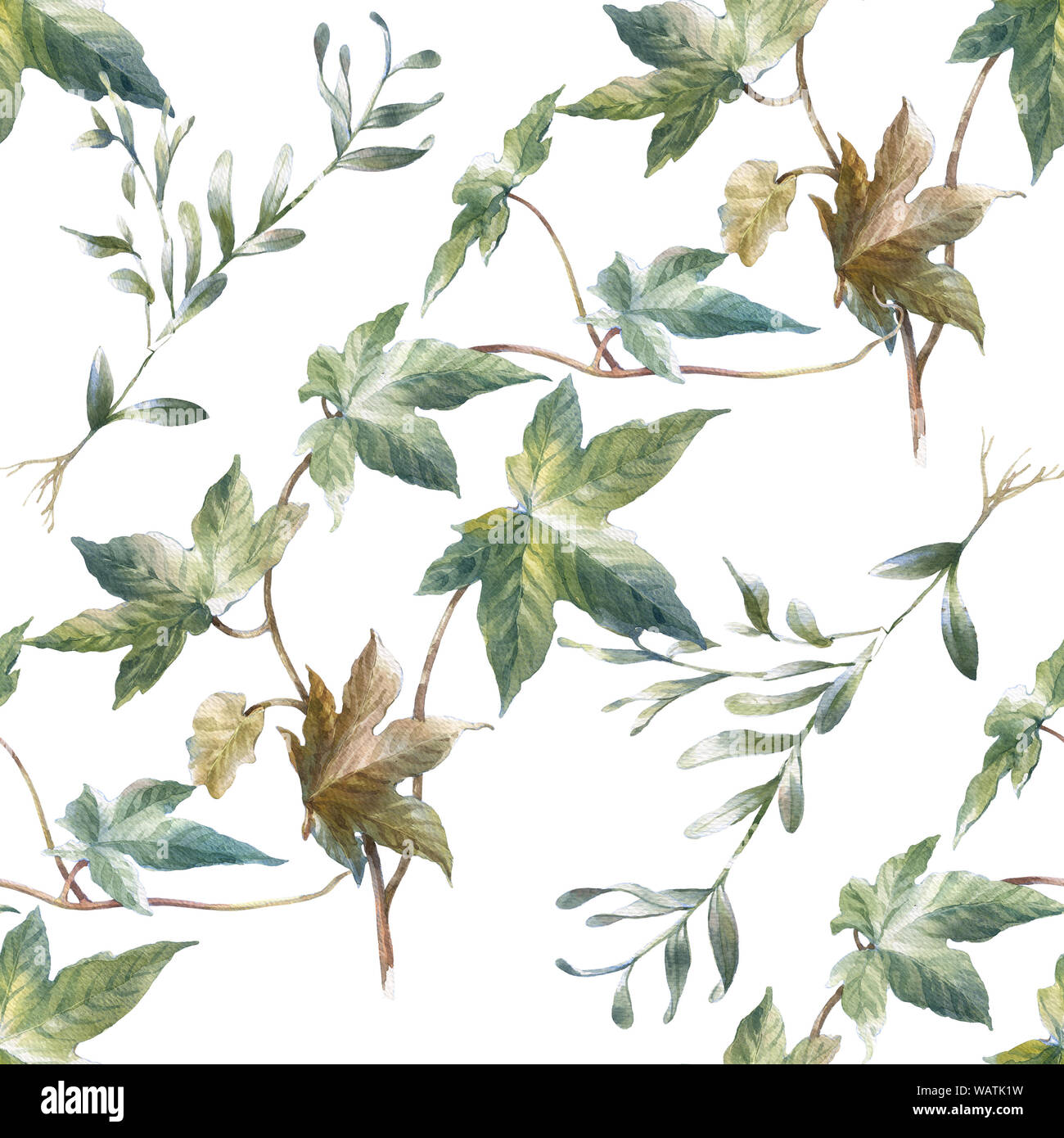 Watercolor illustration of leaf, seamless pattern on white background ...