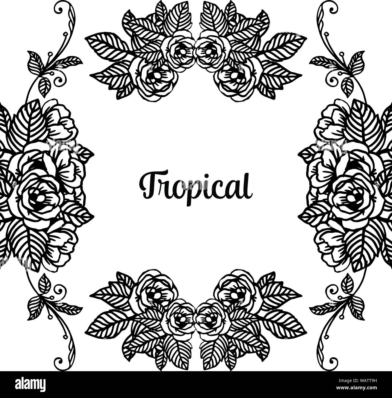 Concept Tropical Of Banners Cards With Decoration Black White