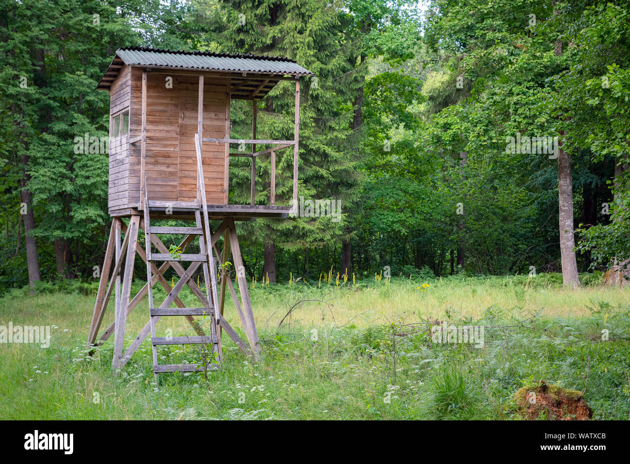 Hunters hut in the forest by the road. Hunter tower or watch post in the wilderness. Hunter post is a wooden structure to watch and shoot at wild anim Stock Photo