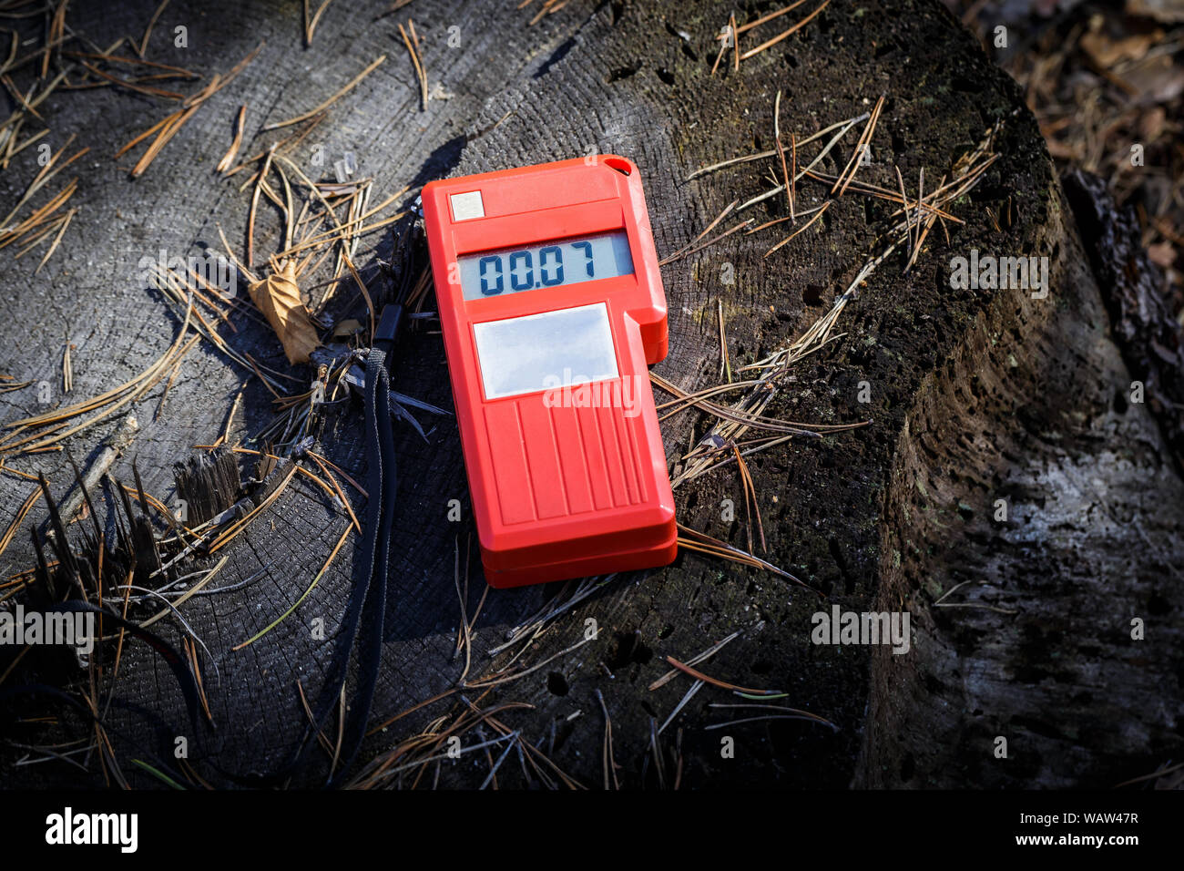 measurement of the radiation level in the forest 60 kilometers away