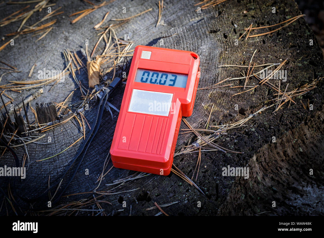 measurement of the radiation level in the forest 60 kilometers away