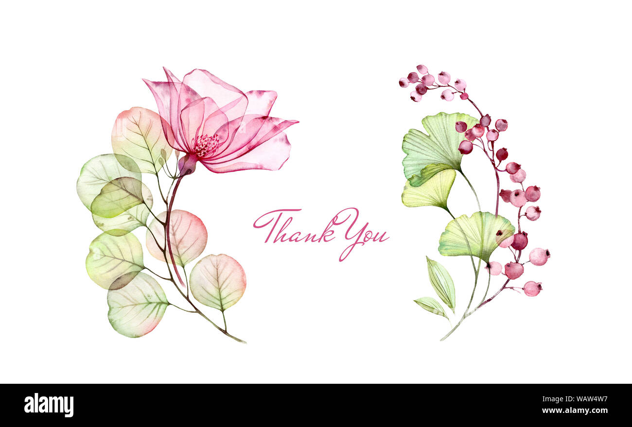 Watercolor Transparent Rose floral thank you card. Eucalyptus branch, flowers and berries isolated on white. Botanical illustration for stationery Stock Photo