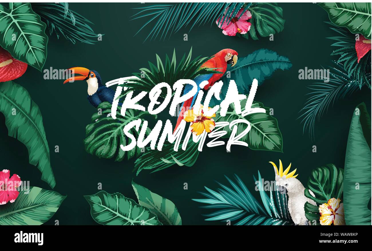 Birds collection and tropical plants background Stock Vector
