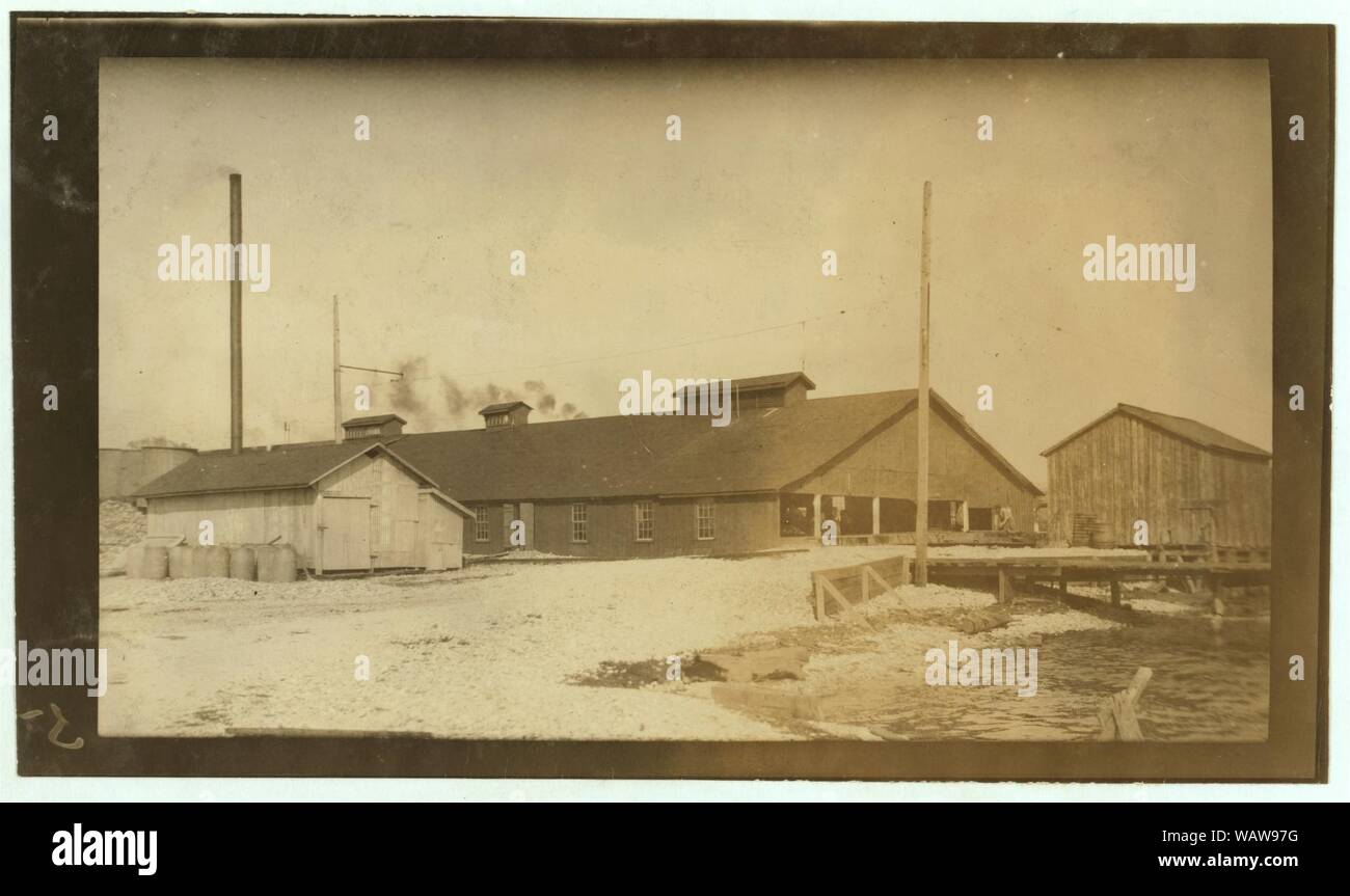 Dunbar & Dukate oyster cannery. According to the testimony of a number of the parents and children, this factory reverses the child labor law to suit its own convenience, and probably to Stock Photo