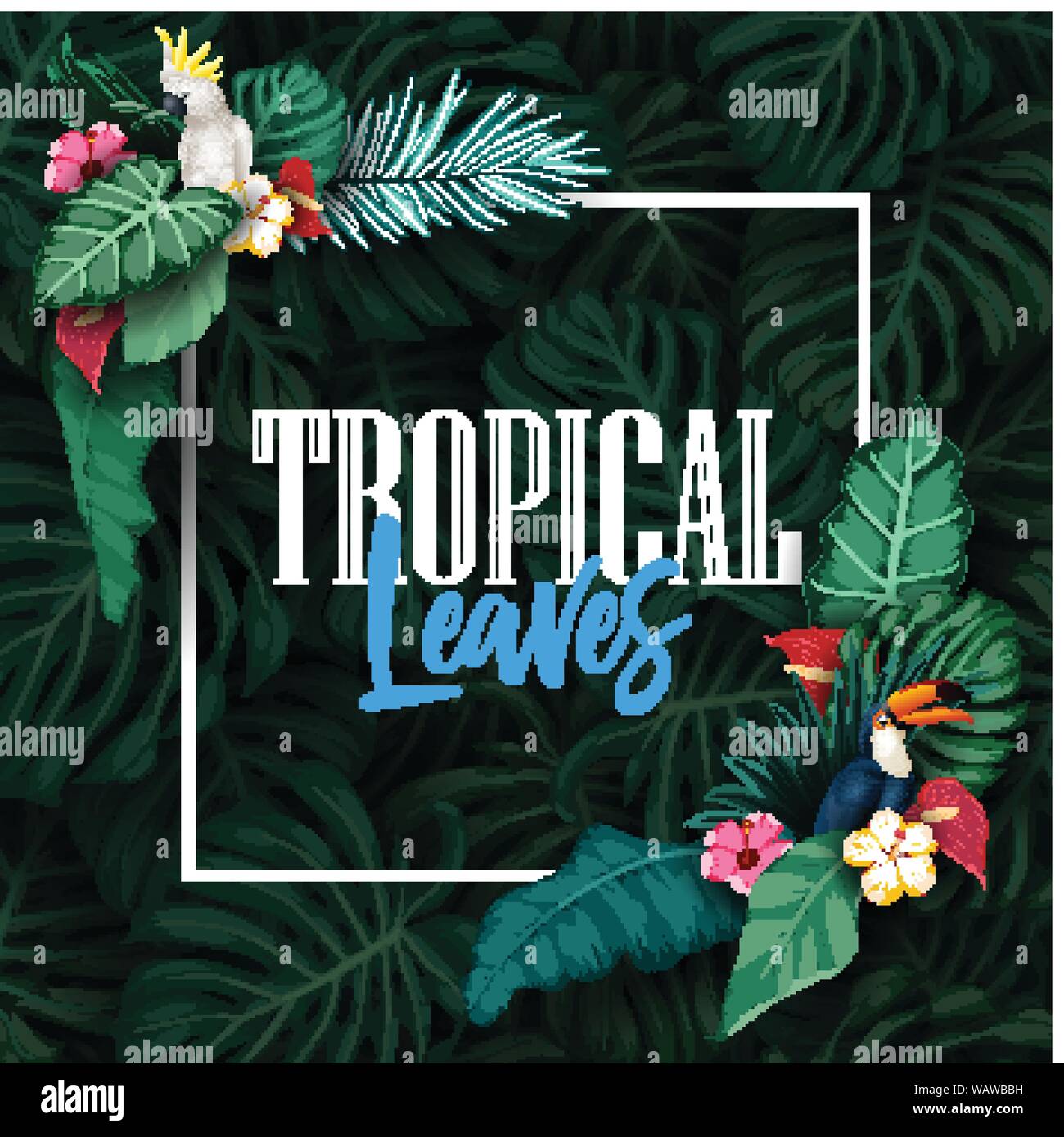 Tropical plants and birds collection set Stock Vector Image & Art - Alamy