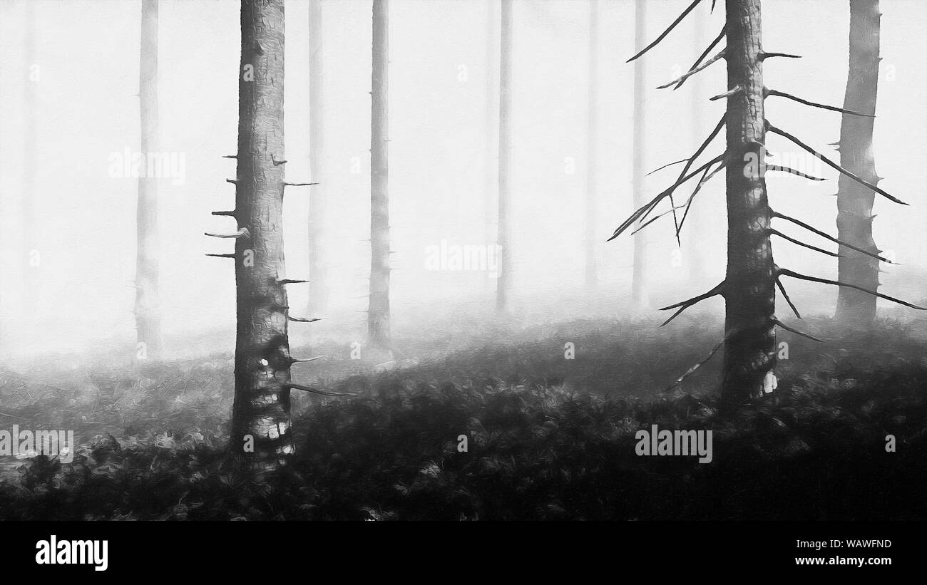 Wild forest nature in Black and White Stock Photos & Images - Alamy