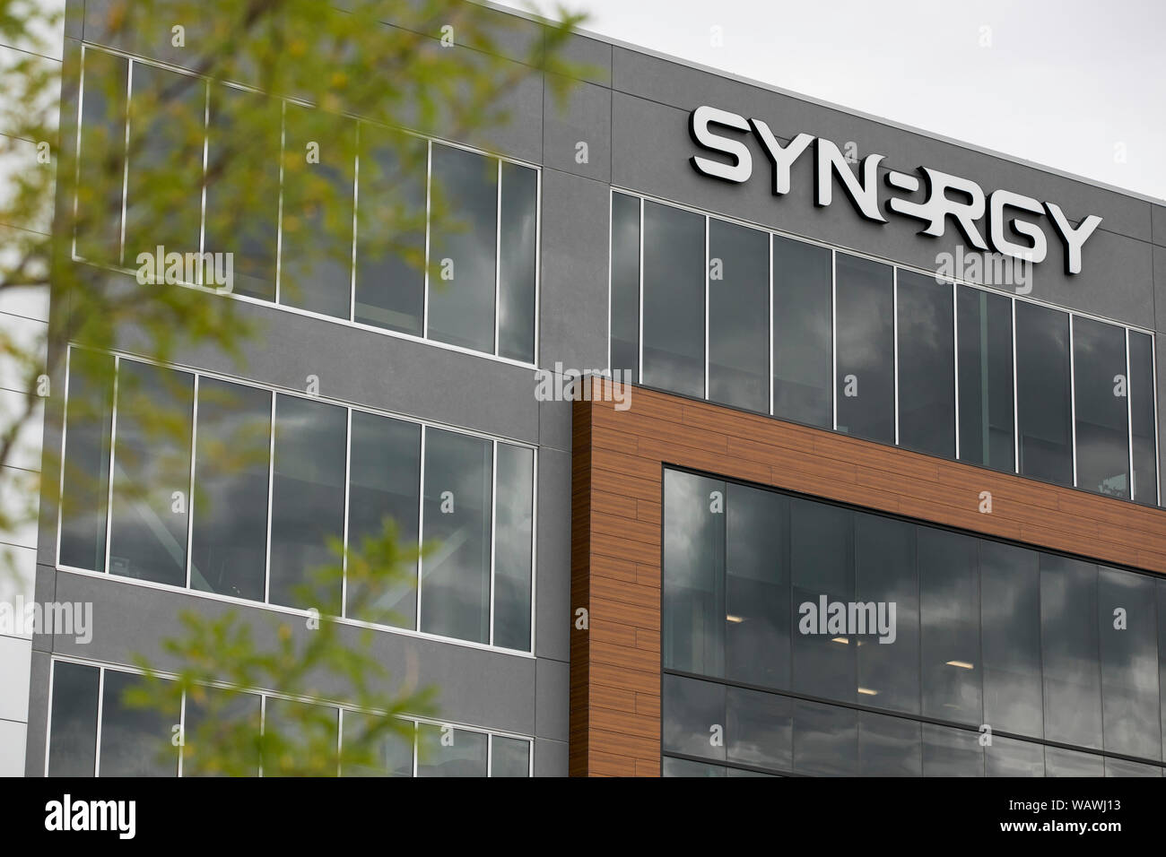 Synergy office