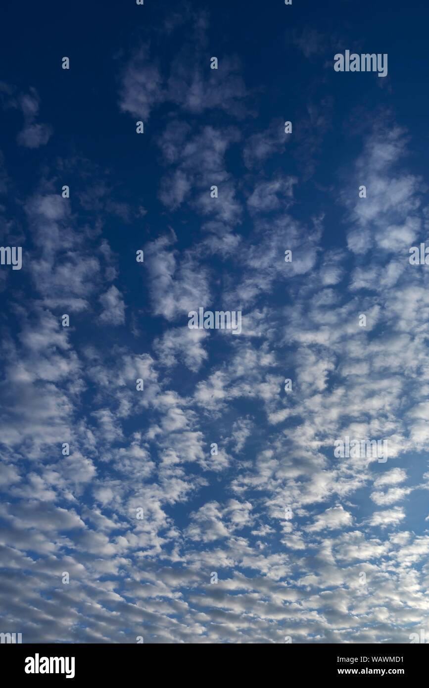 Large altocumulus clouds, Bavaria, Germany Stock Photo