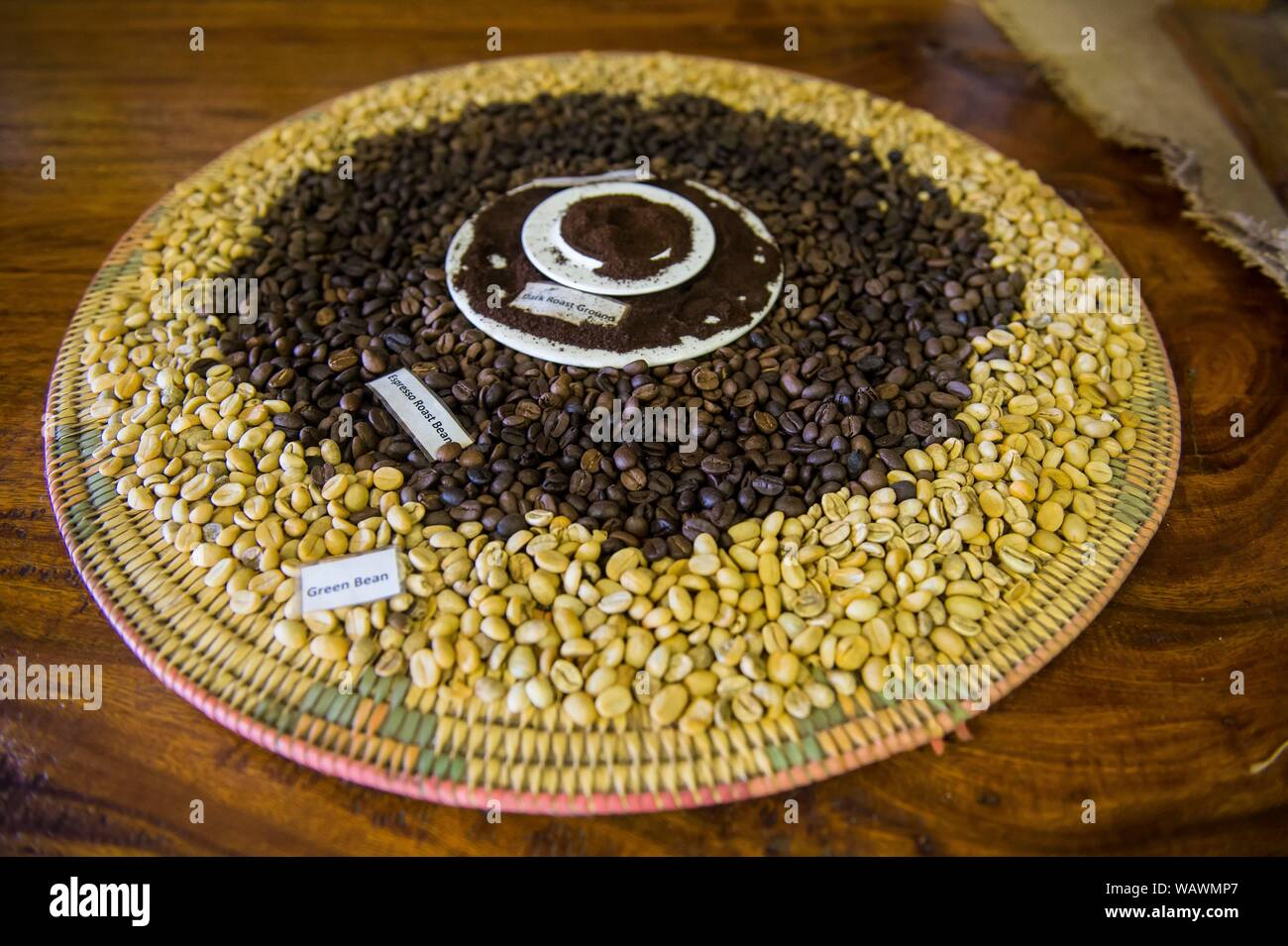 Green and roasted fresh coffee beans, Tanna coffee factory, Port Vila, Vanuatu Stock Photo