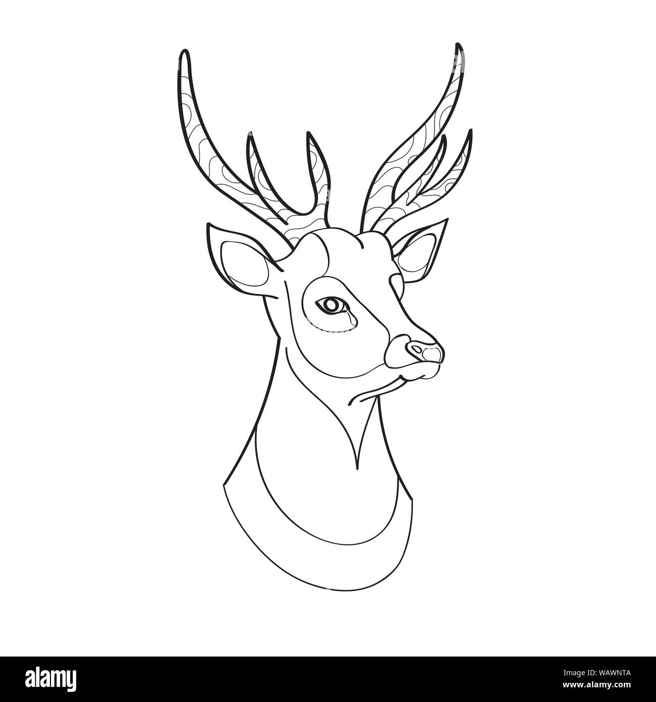 The illustration of a young red deer, crowned with horns. The illustration is made in the style line-art. Vector EPS10 Stock Vector