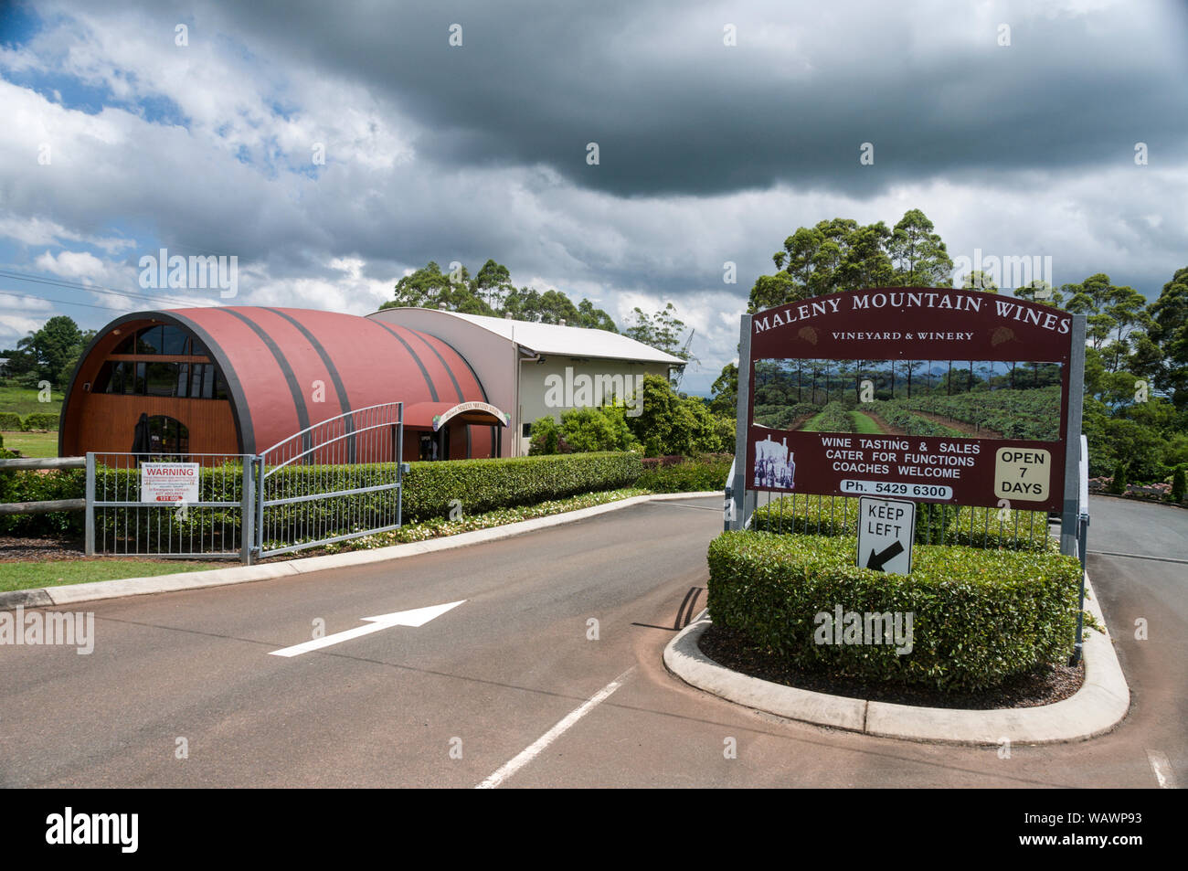 A wine-growing Vinyard, ‘Maleny Mountain Wines’ in the hills on the Sunshine Coast hinterland near Maleny in Queensland, Australia Stock Photo