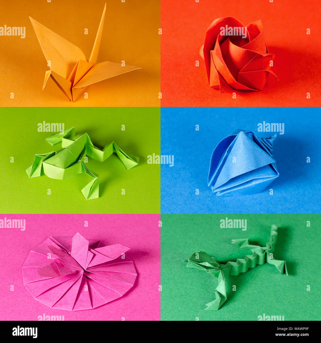 Colored origami paper figures on color backgrounds. Crane, rose, frog, sea shell, butterfly on flower and lizard. Japanese paper folding art. Stock Photo