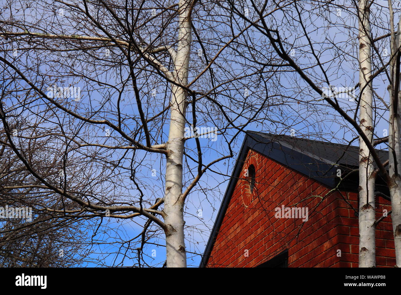 Brick house front elevation with corrugated roof, Mount Macedon 2019 Stock Photo