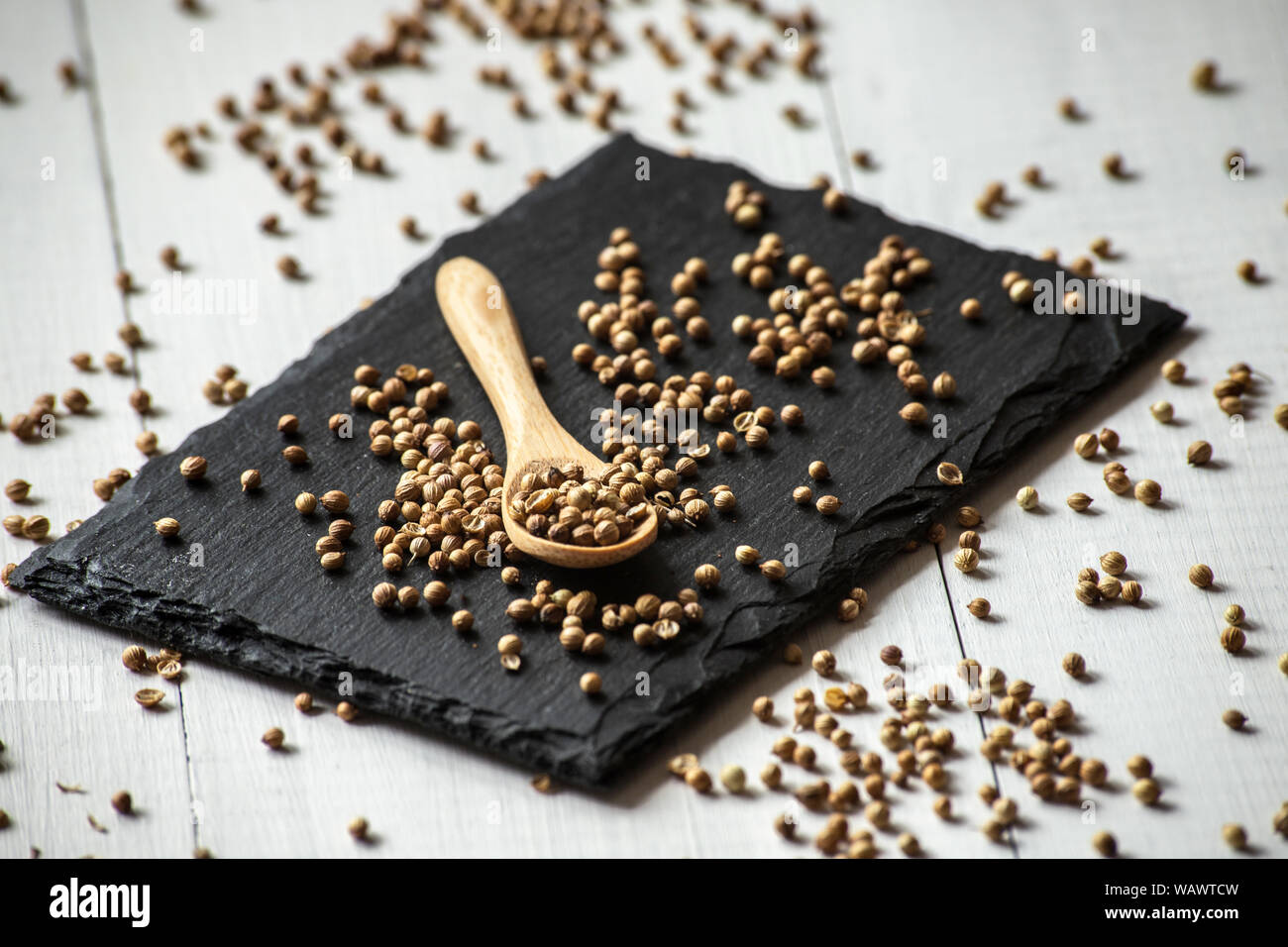 cilantro coriander seeds spice Stock Photo Alamy