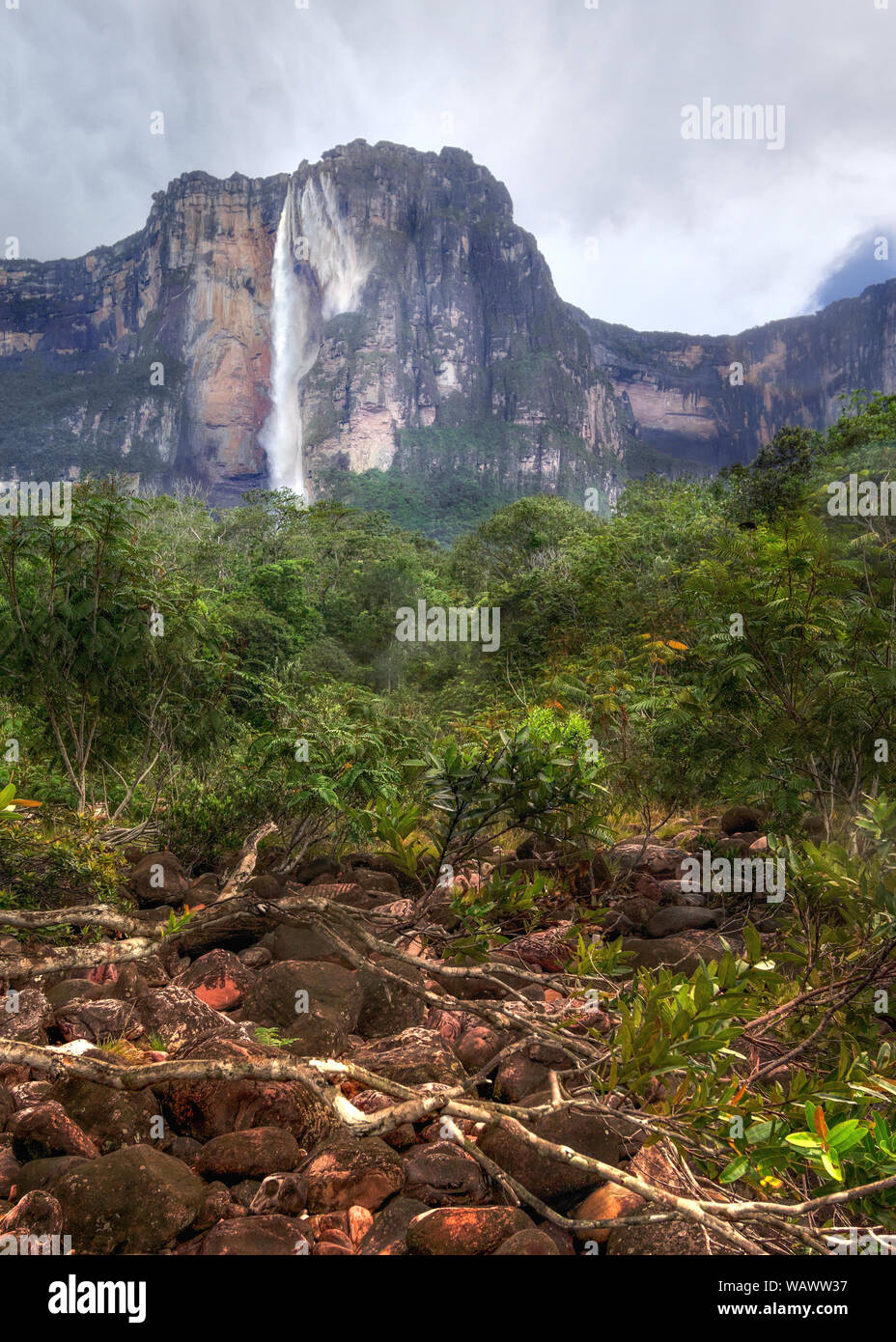 View of the tropical Angel Falls in South America. Stock Photo
