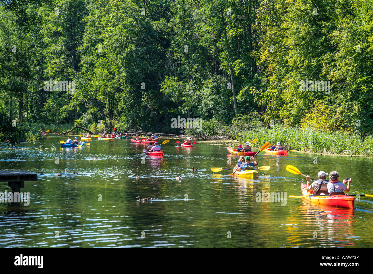 Kayaks auf dem Fluss Krutynia oder Kruttinna, UNESCO Biosphärenreservat Masurische Seen bei Krutyn, Ermland-Masuren, Polen, Europa | Kayaks on the Kru Stock Photo