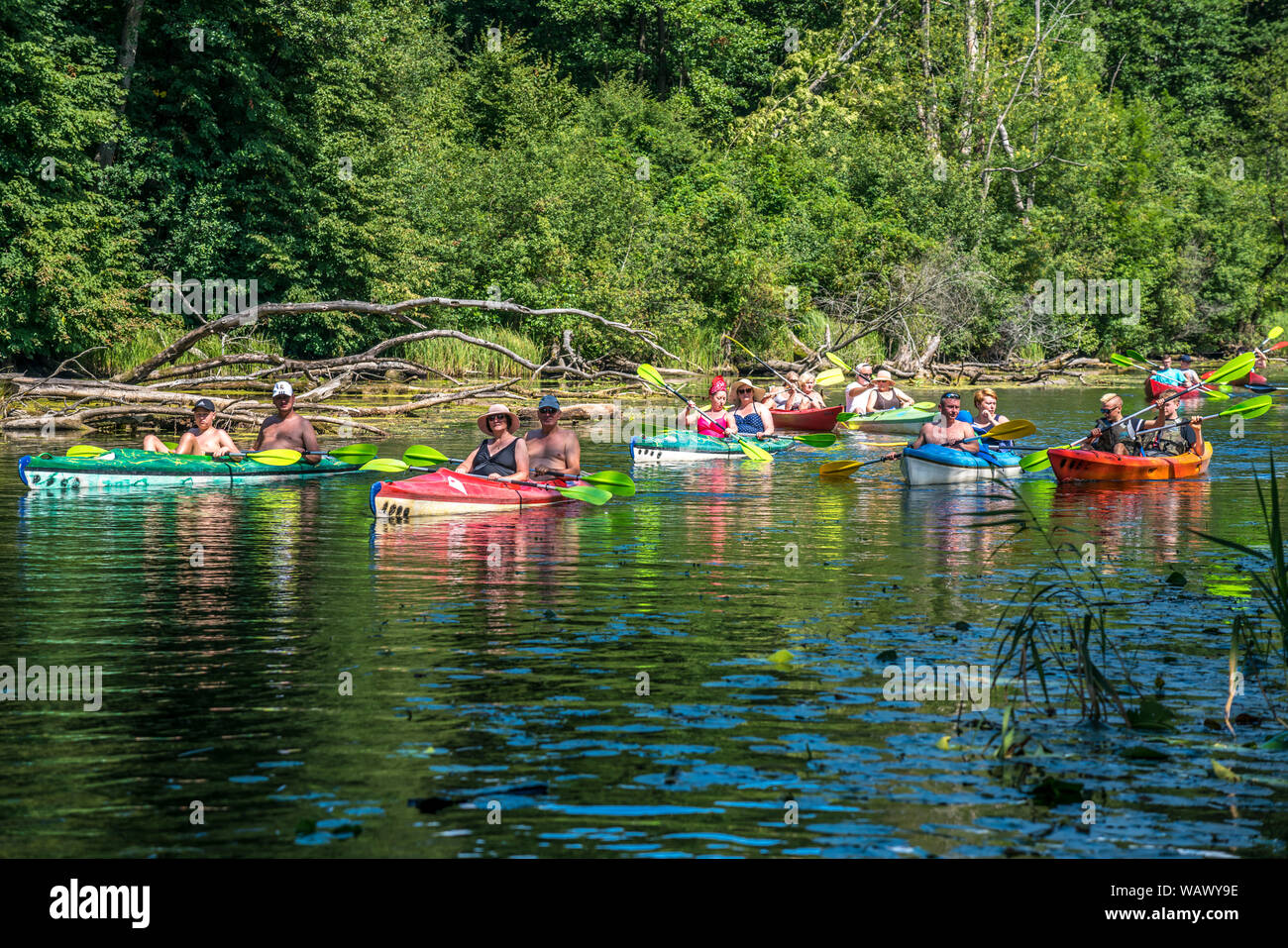 Kayaks auf dem Fluss Krutynia oder Kruttinna, UNESCO Biosphärenreservat Masurische Seen bei Krutyn, Ermland-Masuren, Polen, Europa | Kayaks on the Kru Stock Photo