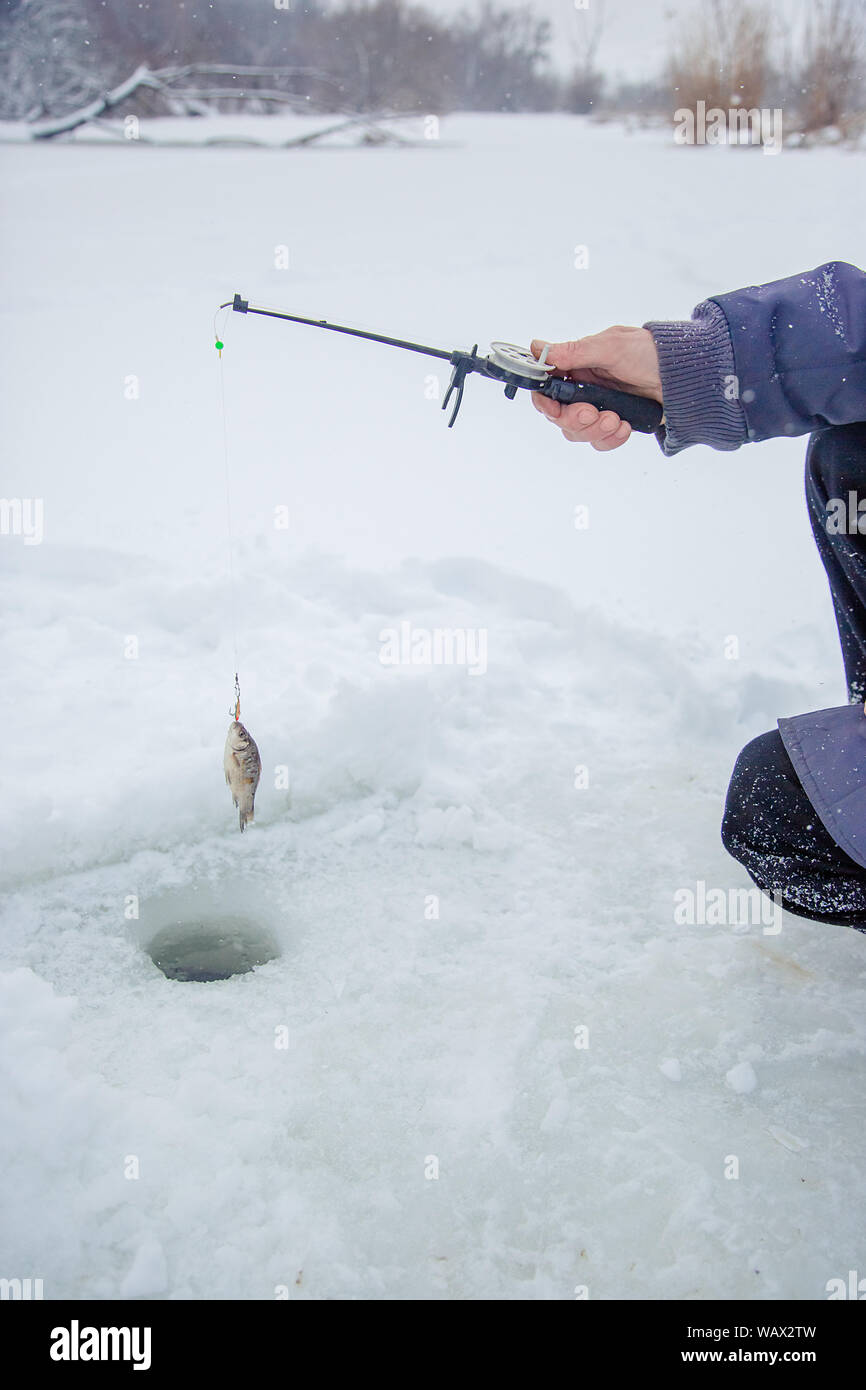 Close up of a ricky fisherman with a fishing rod. Ice and fishing rod for  winter fishing. Winter fishing. Small catch of fish. Winter sport,  relaxatio Stock Photo - Alamy