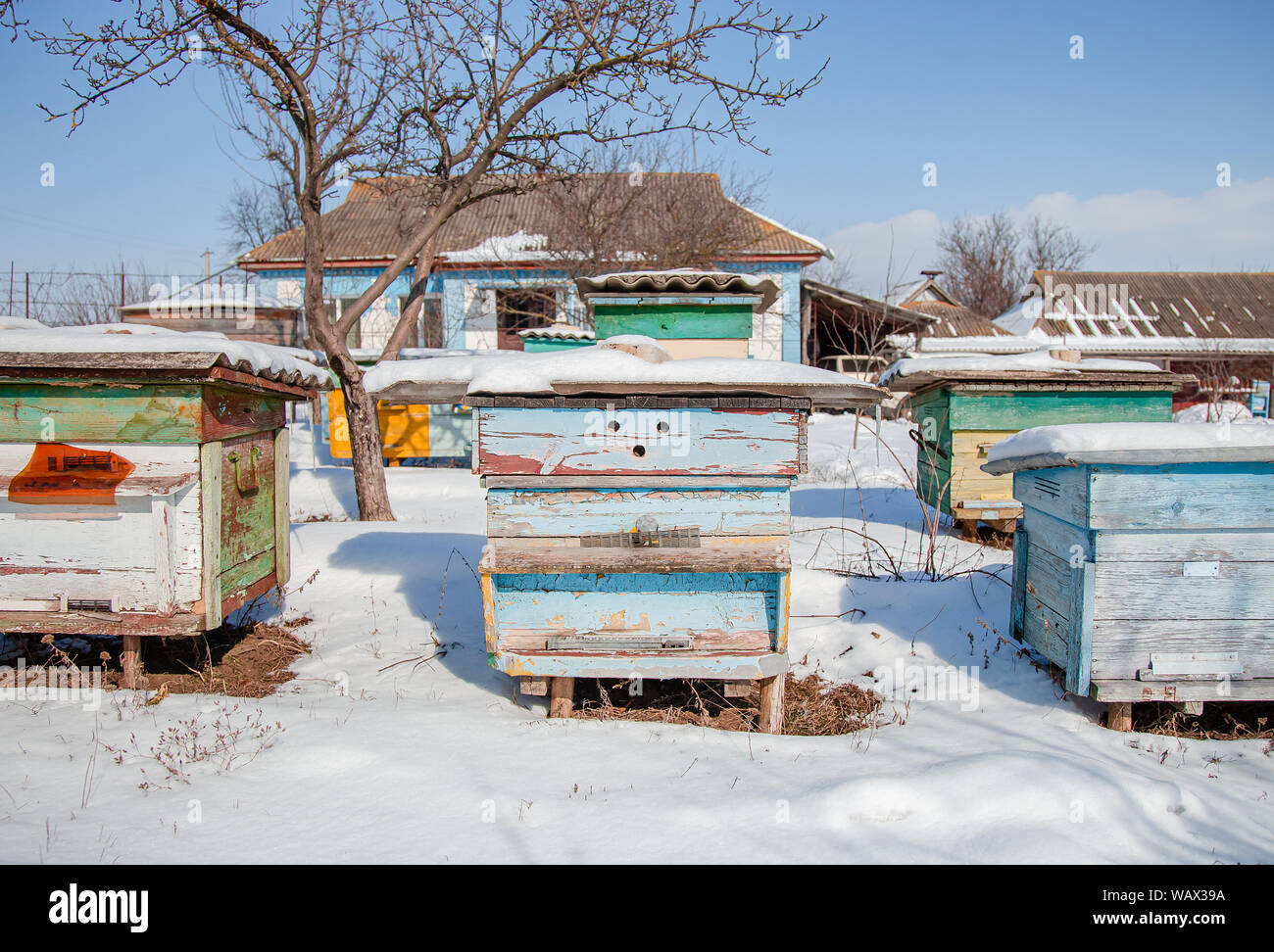 Close-up group of beehives in a winter garden with snow cover on a sunny day. Preparing hives for the winter. Stock Photo