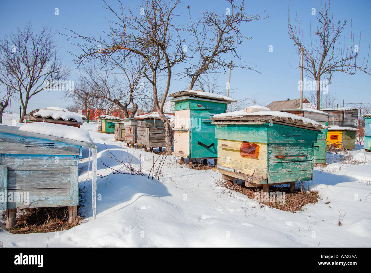 Close-up group of beehives in a winter garden with snow cover on a sunny day. Preparing hives for the winter. Stock Photo