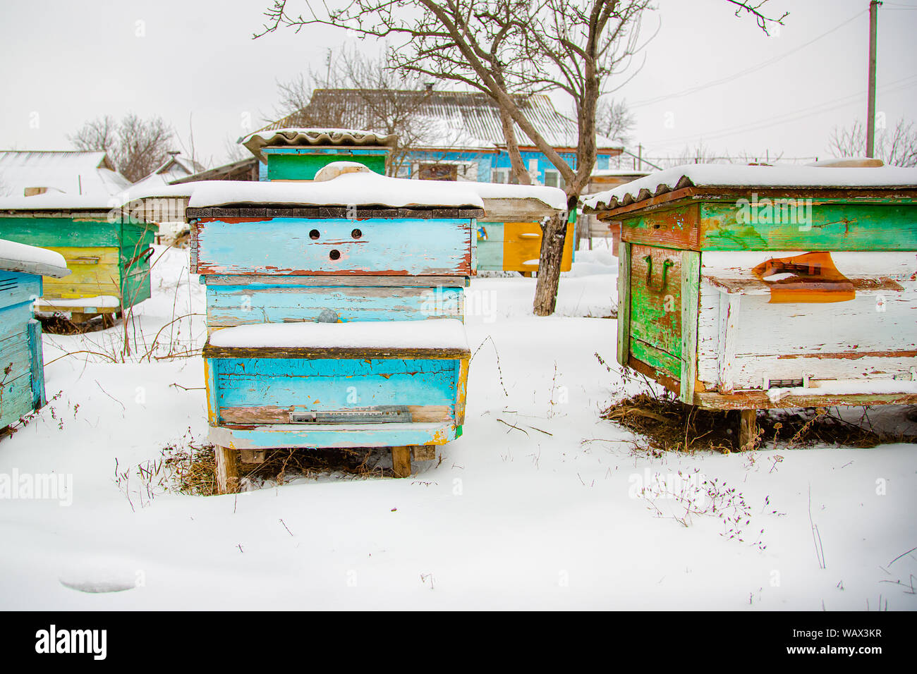 Hives close-up in a winter garden with snow cover on a sunny day. The difficulties of caring for the hives. Stock Photo