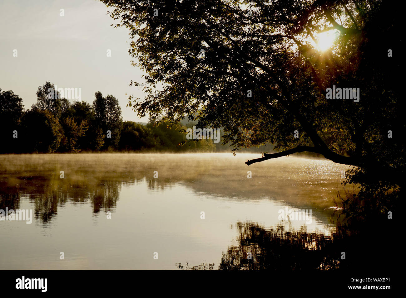 Sunrise peeping through the trees and morning mist over the Dordogne river Stock Photo