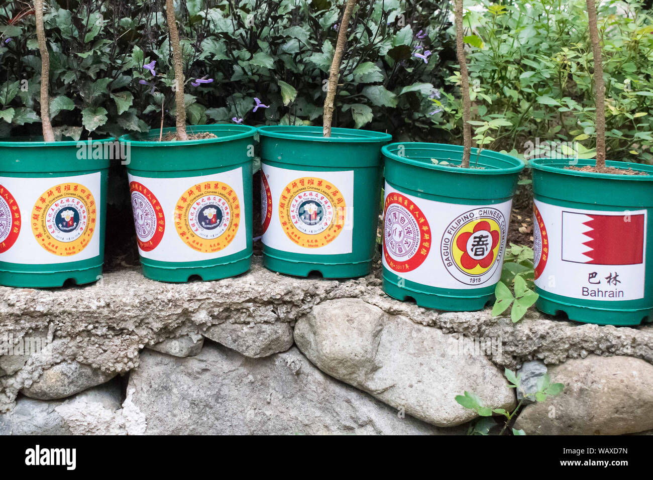 June 5, 2019Baguio City Philippines Lined green flower pots labeled