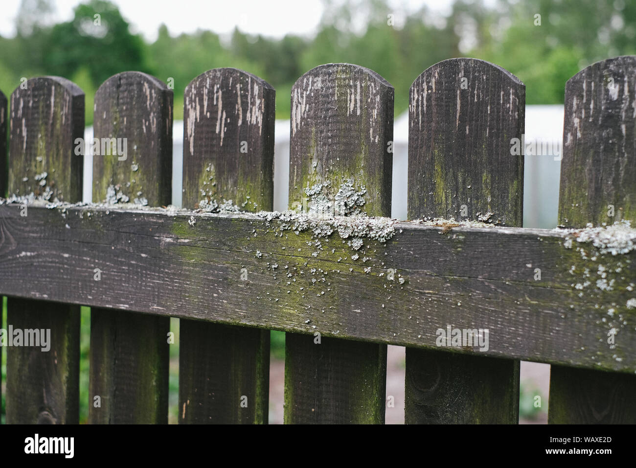 Privacy. Old fence in close-up Stock Photo