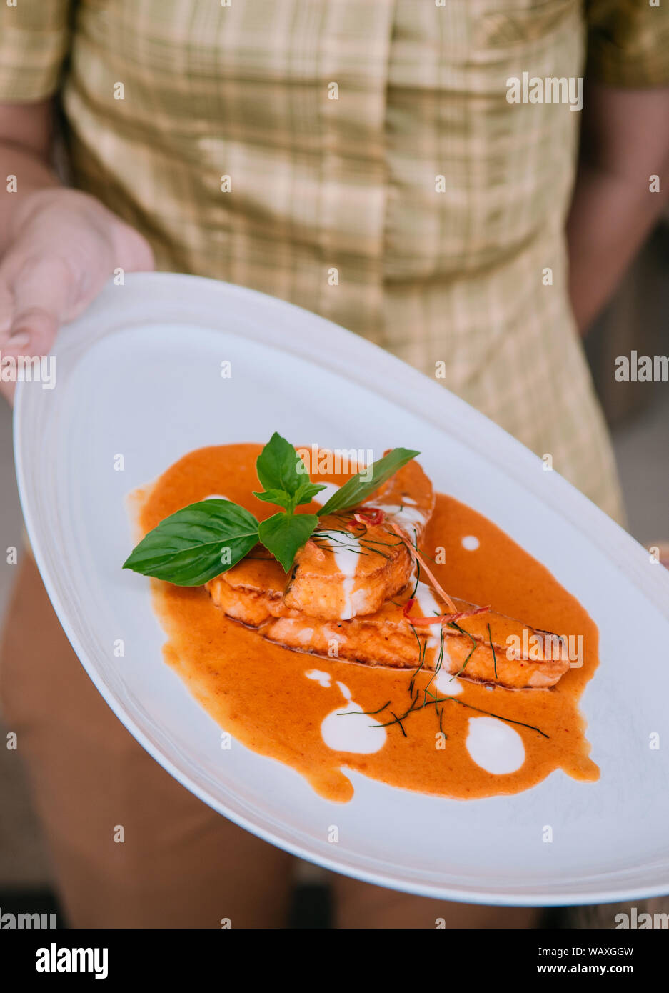 Choo Chee - grilled salmon with Thai Spicy red curry thick sauce and coconut milk, kaffir lime leaves and fresh basil. Waiter serving close up shot. Stock Photo