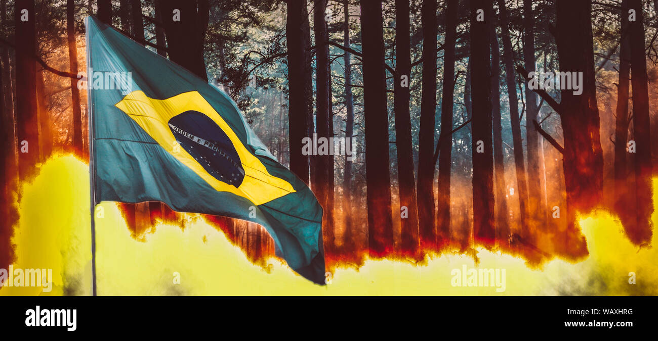 Raging pinewood forest fire with Brazilian flag on foreground - Amazon burning concept Stock Photo