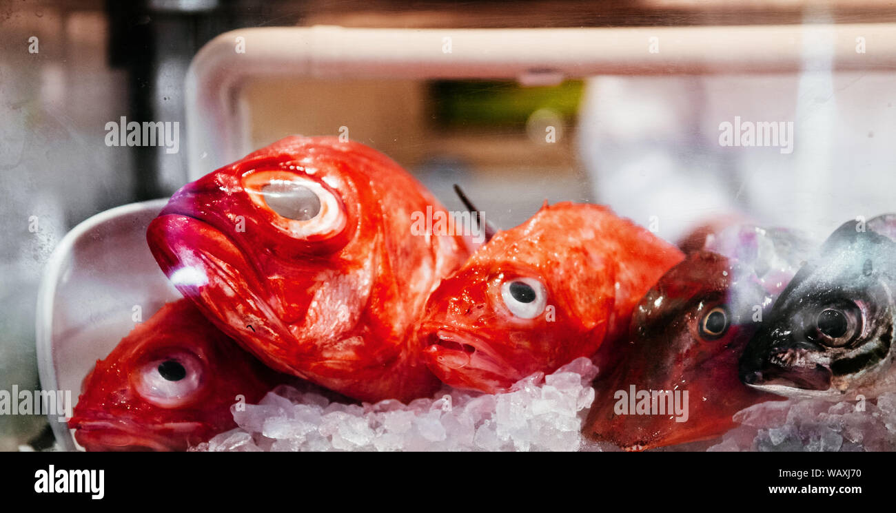 Fresh red Kinmedai or Splendid alfonsino on ice for premium Sushi in Japanese restaurant Stock Photo