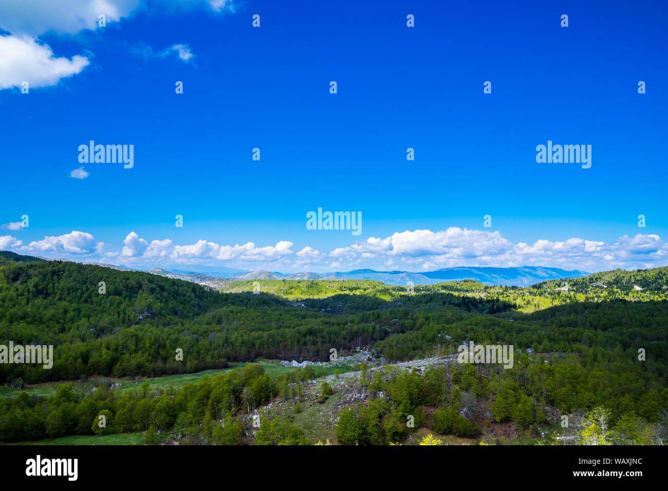 Montenegro, Green wideness of nature landscape full of green trees covering hilly and rocky country scenery near savnik in springtime with blue sky Stock Photo