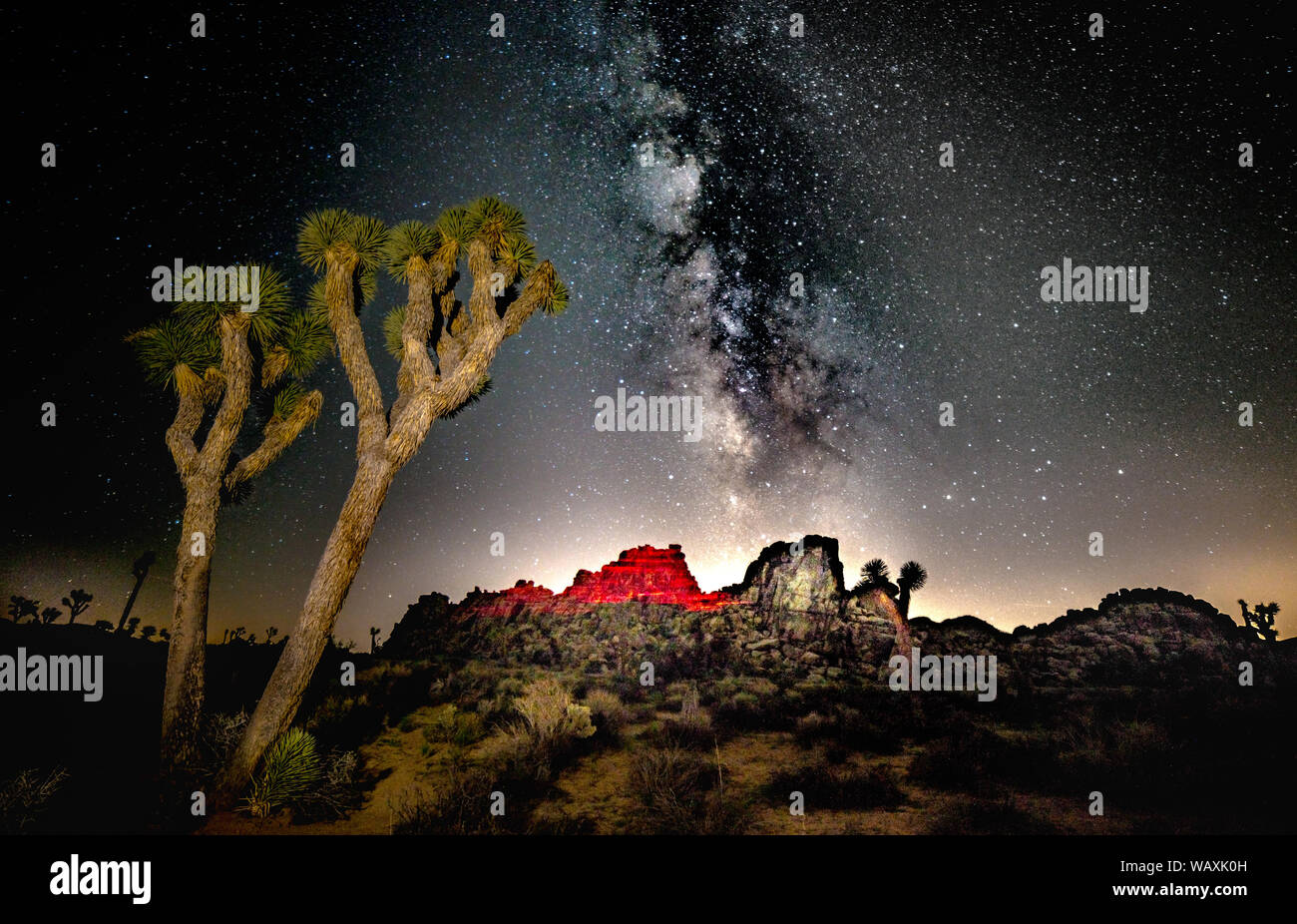 Joshua Tree National Park at Night with Milky Way Stock Photo
