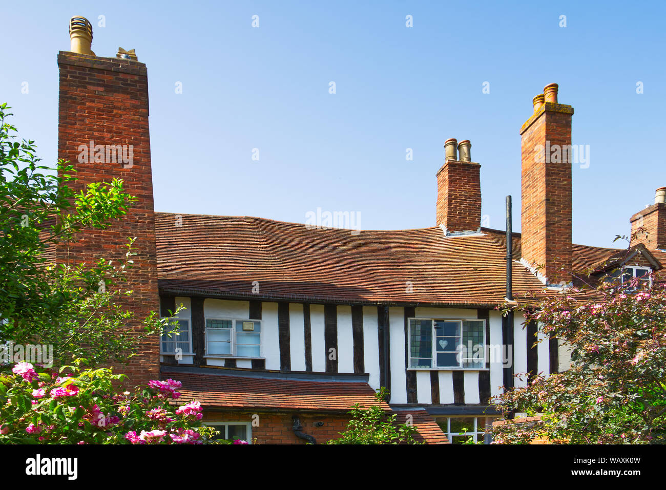 Pretty black and white beamed cottages seen from the herb garden at Erasmus Darwin House, Lichfield, Staffordshire, England, UK Stock Photo