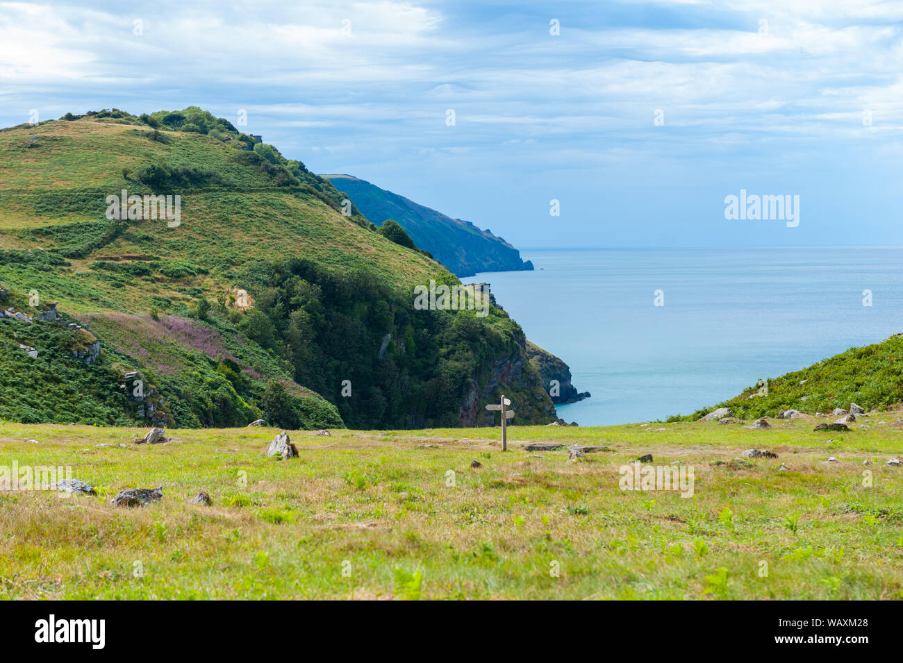 The Valley of Rocks is a dry valley that runs parallel to the coast in north Devon, England Stock Photo