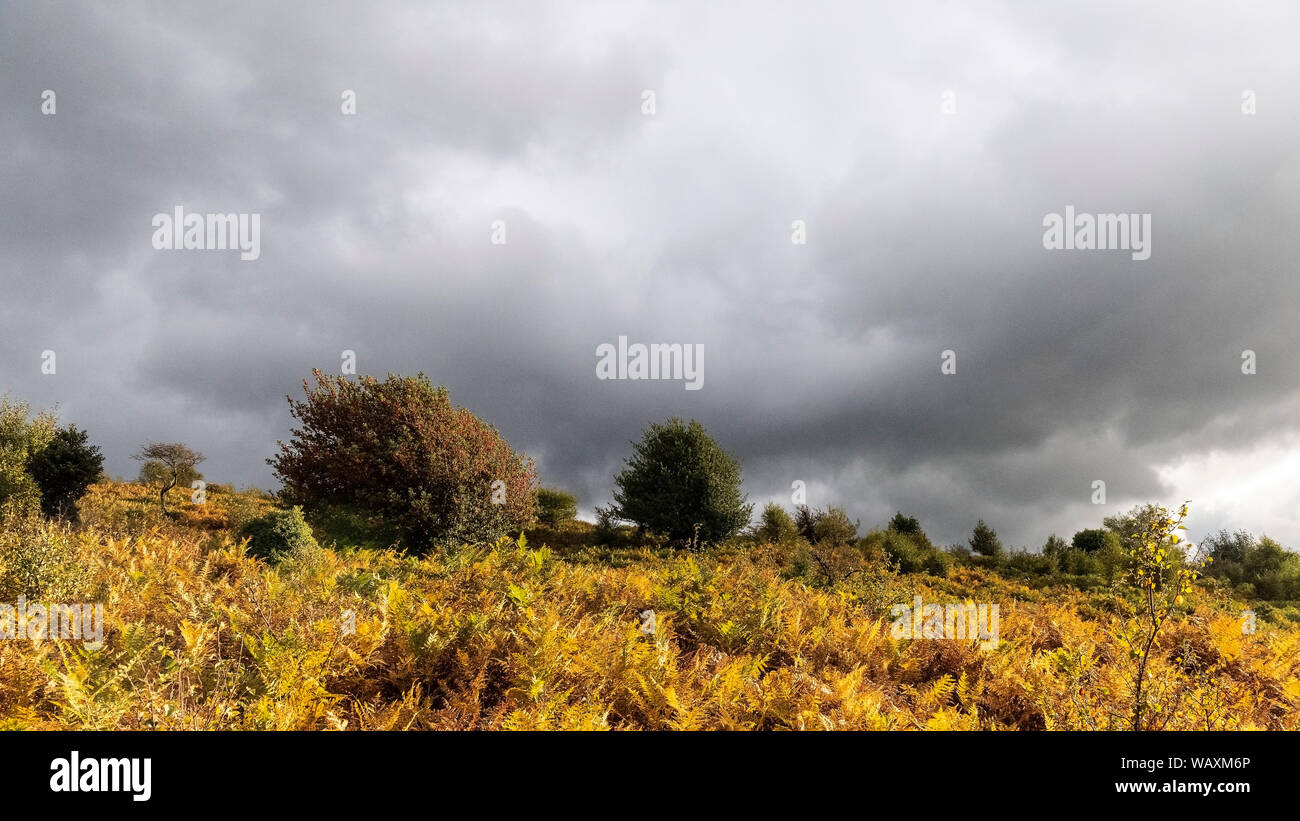 Exmoor hillside under stormy sky. Stock Photo