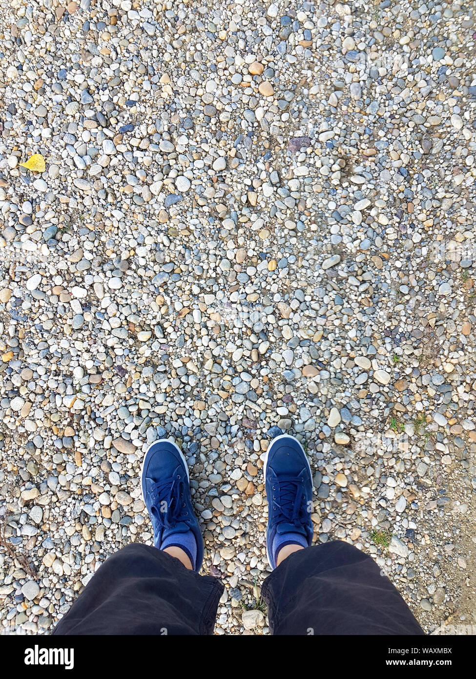 Look down at the blue sneakers on the gravel. A man in casual shorts and blue sneakers. Stock Photo