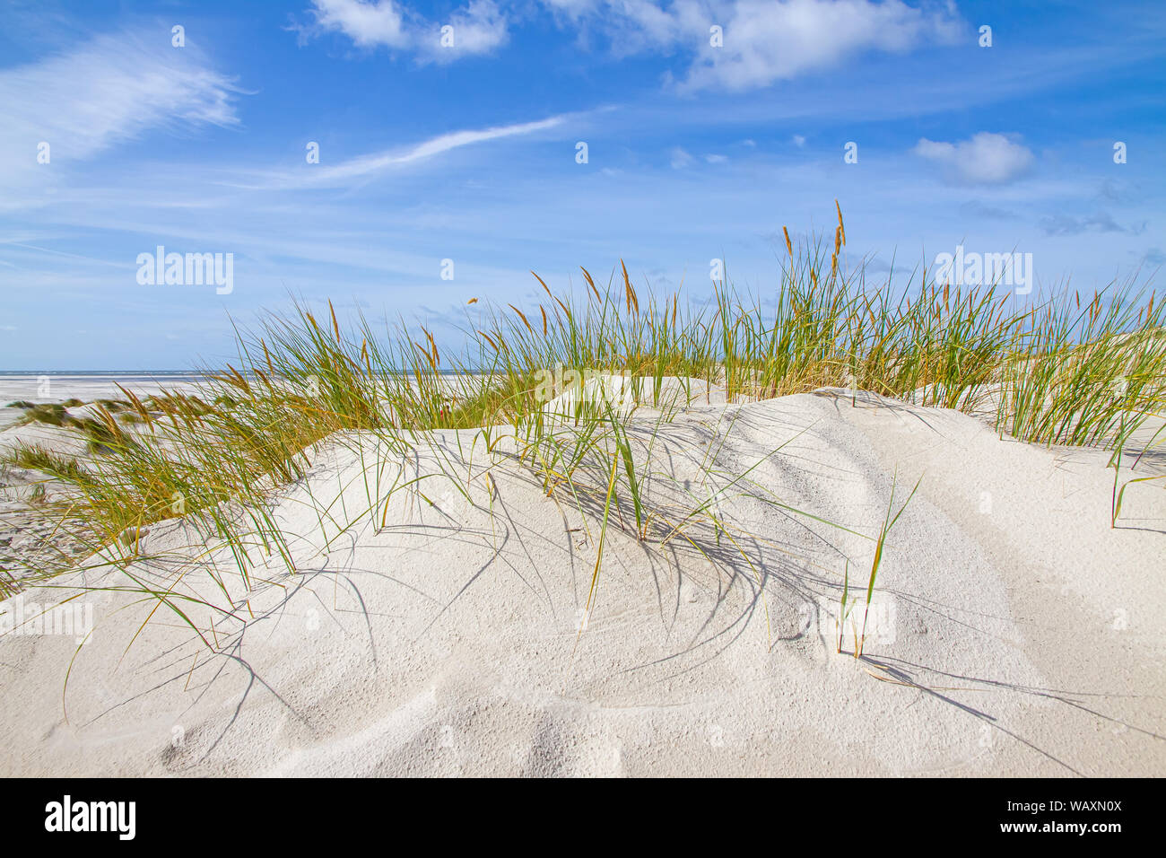 Dunes On Island Amrum, North Sea Germany Stock Photo