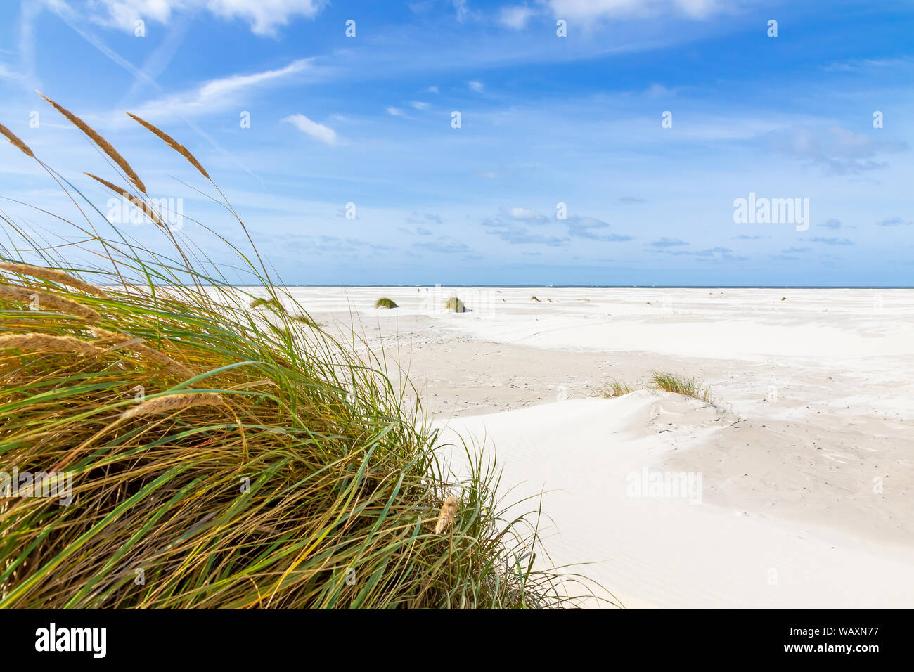 Dunes amrum island north hi-res stock photography and images - Alamy
