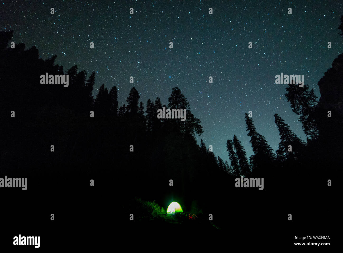 campfire under night sky with star on top of mountain surrounded by forest - Stock Photo